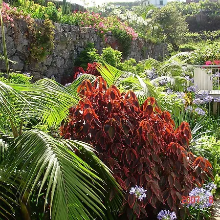 Casa Da Capelinha Ξενοδοχείο με διαμερίσματα Πόντα Ντελγάδα